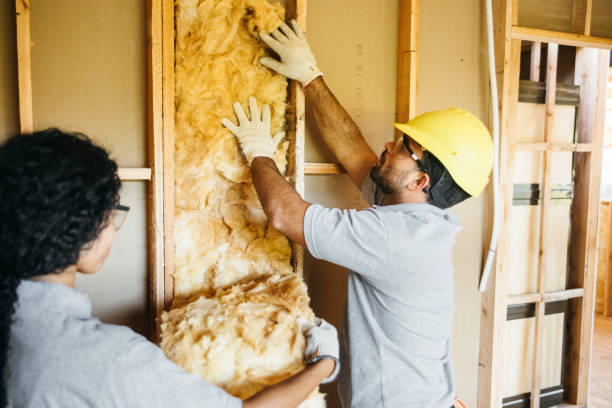 Best Radiant Barrier Insulation  in Villa Park, CA